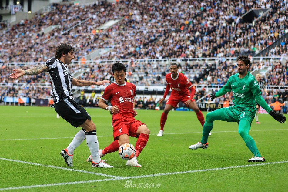 士缔造的 士缔造的